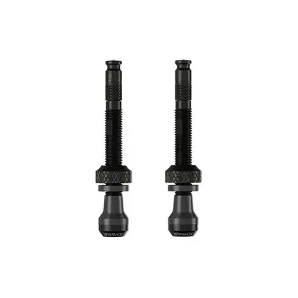 Direct Beschikbaar SCHWALBE TUBELESS CLIK VALVE 60MM (2pcs)
