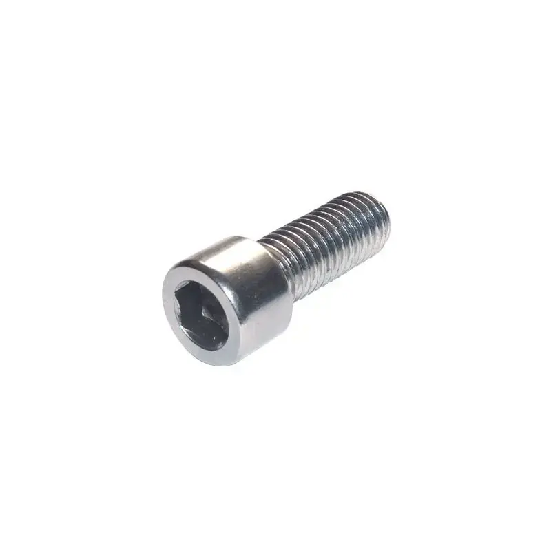 Black Bearing Zakje met 25 verzinkte schroeven M5 x 12 CHC Must-Have