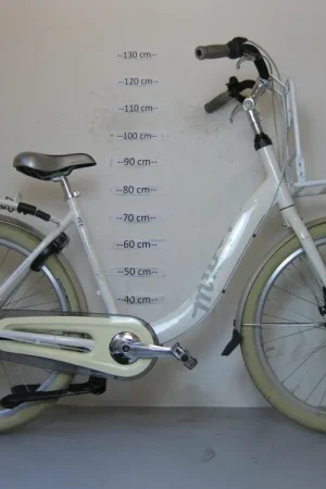 Goedkoop Giant moederfiets
