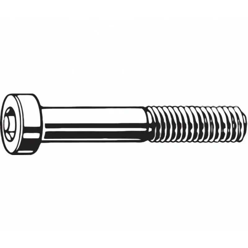 Dagaanbieding TRP Paar achterste remklauwschroeven flat mount - inox - 17mm