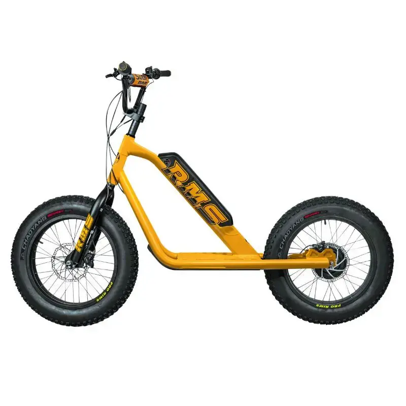 RMS Bike Elektrische scooter 20F-X RAL 1021 Gereduceerde Prijs