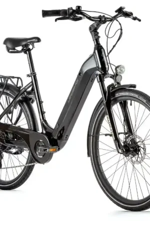 Hoge Kwaliteit Leader Fox Elektrische fiets met achterwielmotor bafang Lotus 2023 36V 45Nm 14Ah 18‘‘