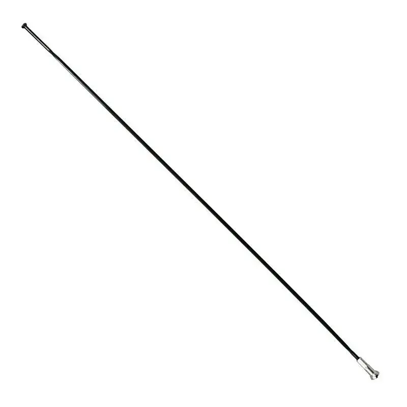 Speciale Aanbieding P2R Roestvrijstalen spaak met platte kop en nippels Sapim 252 mm